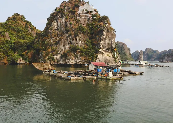 Verdure Lotus Classic Cruise On Lan Ha Bay 