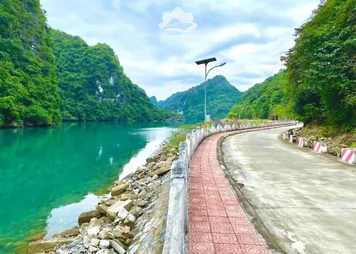  Verdure Lotus Classic Cruise On Lan Ha Bay